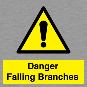 Danger Falling Branches